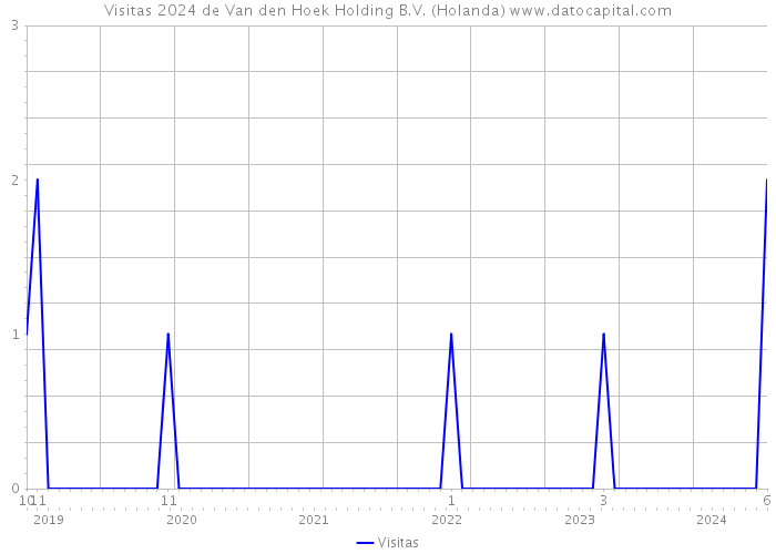 Visitas 2024 de Van den Hoek Holding B.V. (Holanda) 