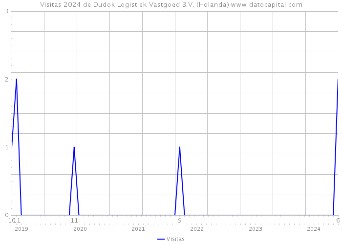 Visitas 2024 de Dudok Logistiek Vastgoed B.V. (Holanda) 
