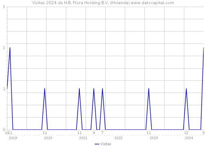 Visitas 2024 de H.B. Flora Holding B.V. (Holanda) 