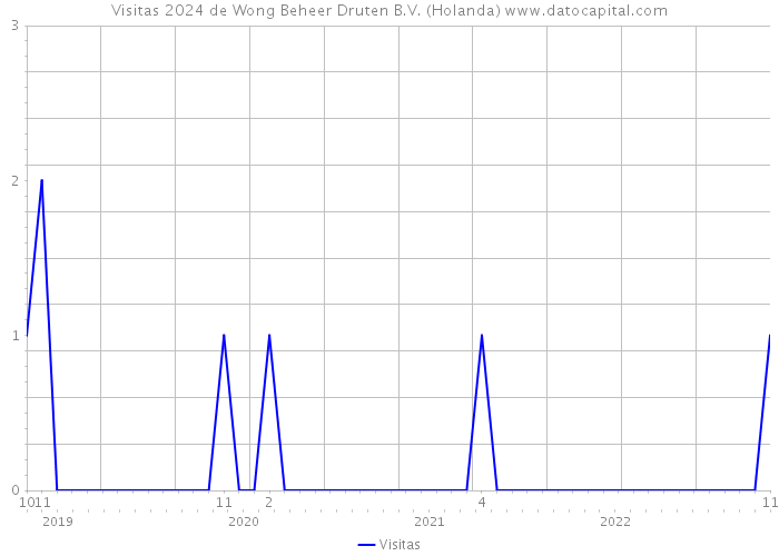 Visitas 2024 de Wong Beheer Druten B.V. (Holanda) 