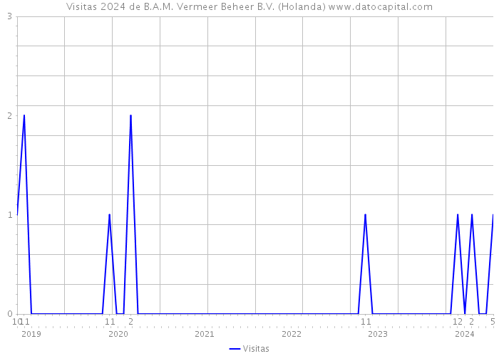 Visitas 2024 de B.A.M. Vermeer Beheer B.V. (Holanda) 