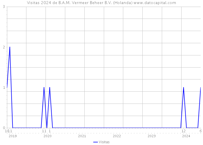 Visitas 2024 de B.A.M. Vermeer Beheer B.V. (Holanda) 