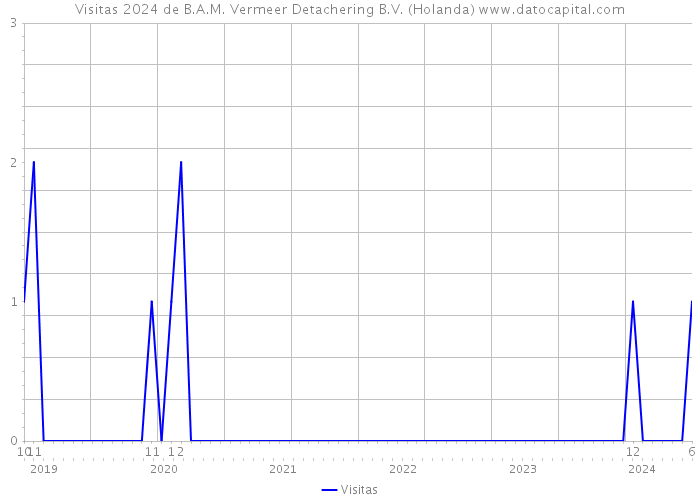 Visitas 2024 de B.A.M. Vermeer Detachering B.V. (Holanda) 