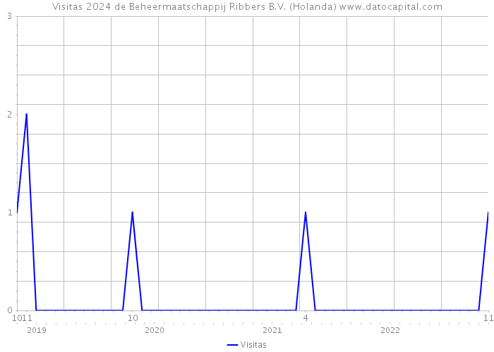 Visitas 2024 de Beheermaatschappij Ribbers B.V. (Holanda) 