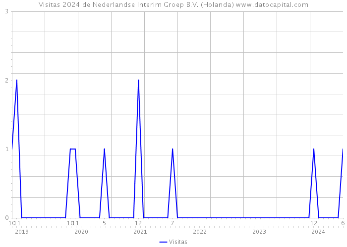 Visitas 2024 de Nederlandse Interim Groep B.V. (Holanda) 