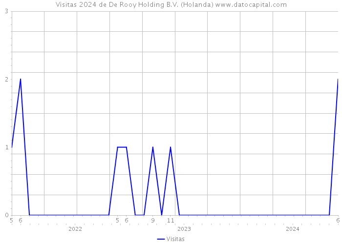 Visitas 2024 de De Rooy Holding B.V. (Holanda) 