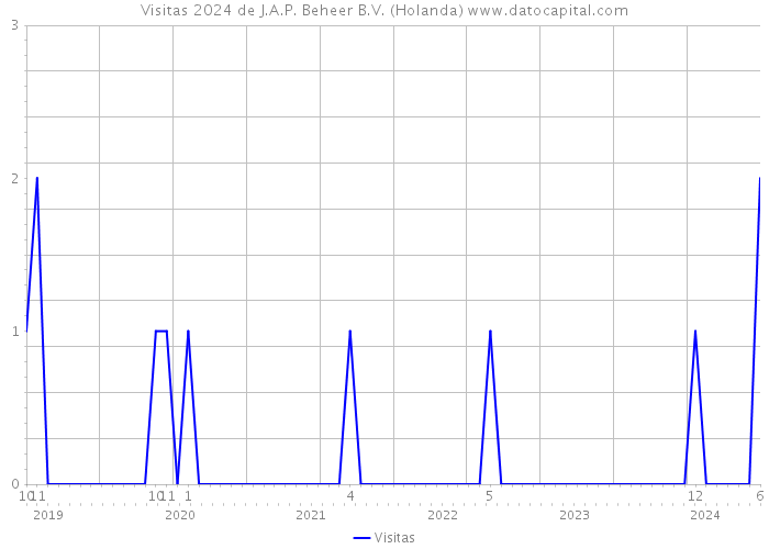 Visitas 2024 de J.A.P. Beheer B.V. (Holanda) 