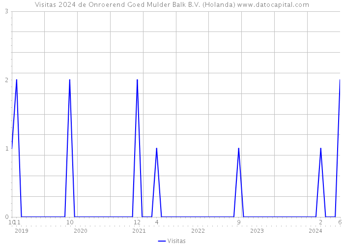 Visitas 2024 de Onroerend Goed Mulder Balk B.V. (Holanda) 