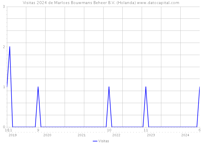 Visitas 2024 de Marloes Bouwmans Beheer B.V. (Holanda) 