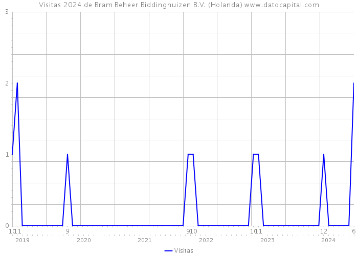 Visitas 2024 de Bram Beheer Biddinghuizen B.V. (Holanda) 