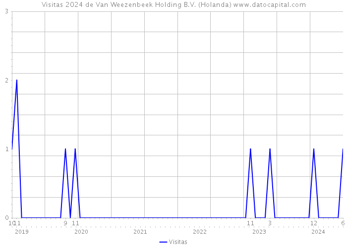Visitas 2024 de Van Weezenbeek Holding B.V. (Holanda) 