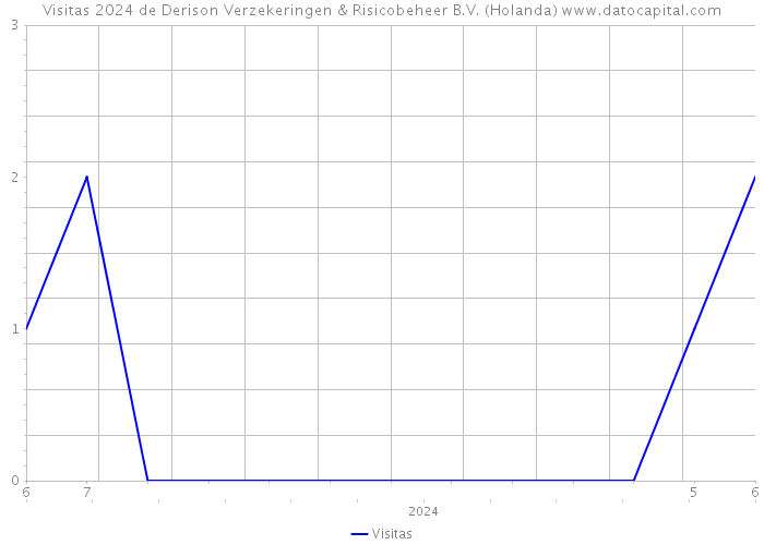 Visitas 2024 de Derison Verzekeringen & Risicobeheer B.V. (Holanda) 