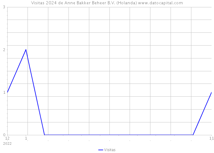 Visitas 2024 de Anne Bakker Beheer B.V. (Holanda) 