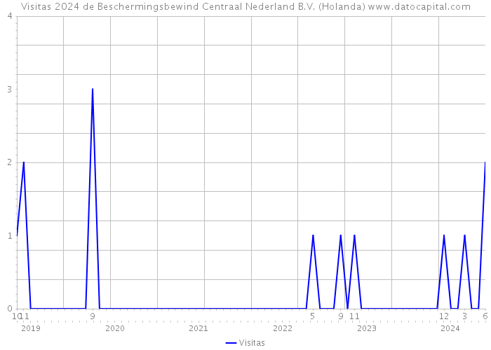 Visitas 2024 de Beschermingsbewind Centraal Nederland B.V. (Holanda) 