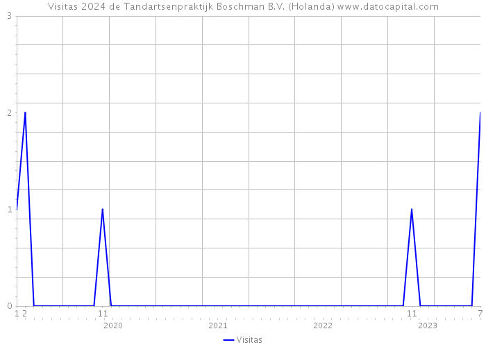 Visitas 2024 de Tandartsenpraktijk Boschman B.V. (Holanda) 