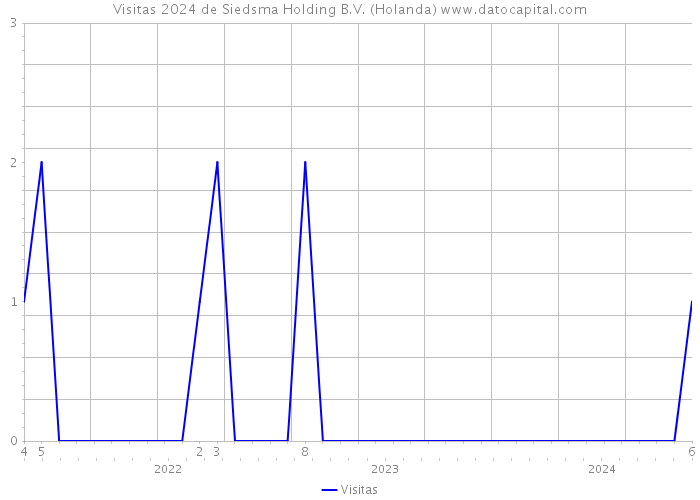 Visitas 2024 de Siedsma Holding B.V. (Holanda) 