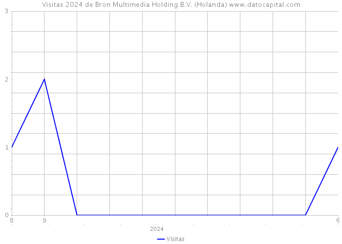 Visitas 2024 de Bron Multimedia Holding B.V. (Holanda) 