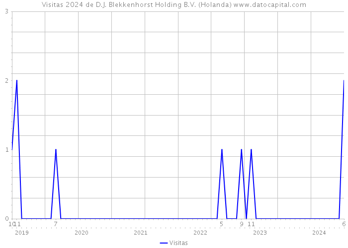 Visitas 2024 de D.J. Blekkenhorst Holding B.V. (Holanda) 