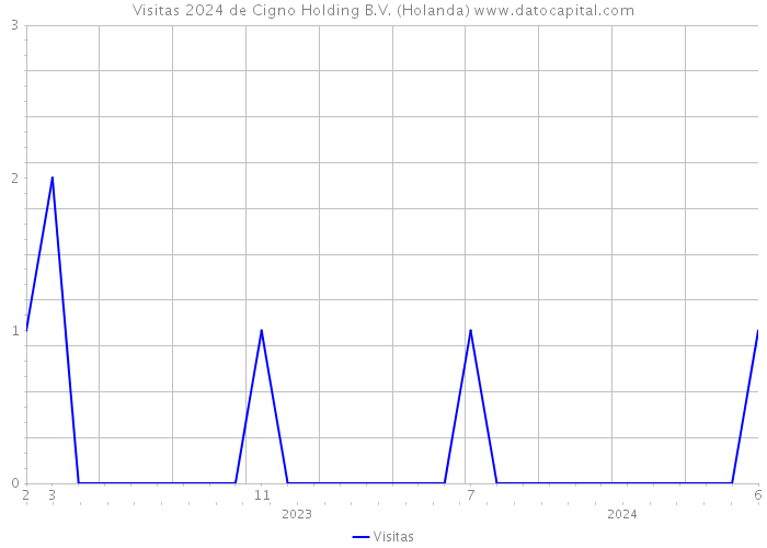 Visitas 2024 de Cigno Holding B.V. (Holanda) 