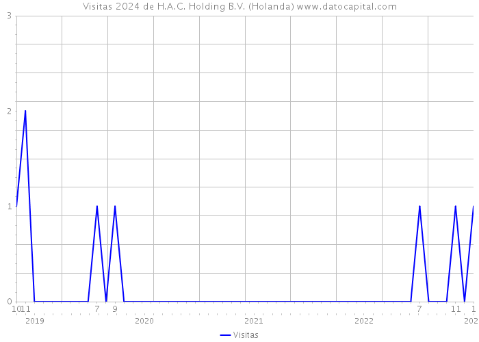 Visitas 2024 de H.A.C. Holding B.V. (Holanda) 