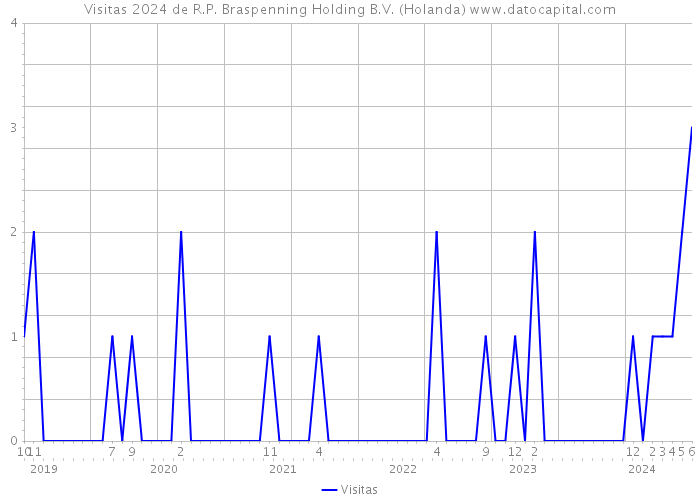 Visitas 2024 de R.P. Braspenning Holding B.V. (Holanda) 