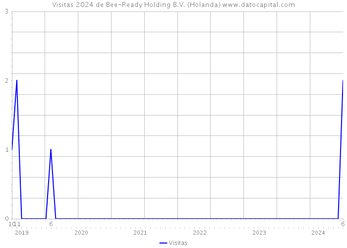 Visitas 2024 de Bee-Ready Holding B.V. (Holanda) 