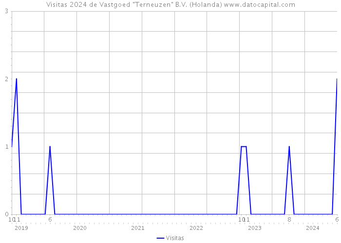 Visitas 2024 de Vastgoed 