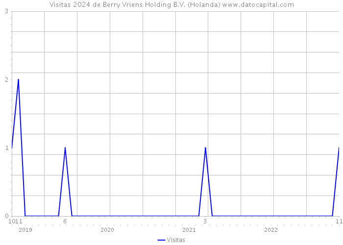 Visitas 2024 de Berry Vriens Holding B.V. (Holanda) 