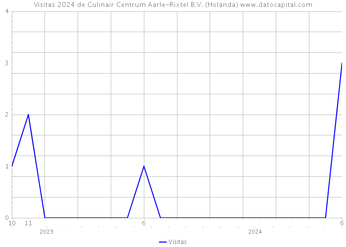 Visitas 2024 de Culinair Centrum Aarle-Rixtel B.V. (Holanda) 