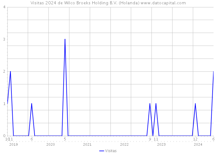 Visitas 2024 de Wilco Broeks Holding B.V. (Holanda) 
