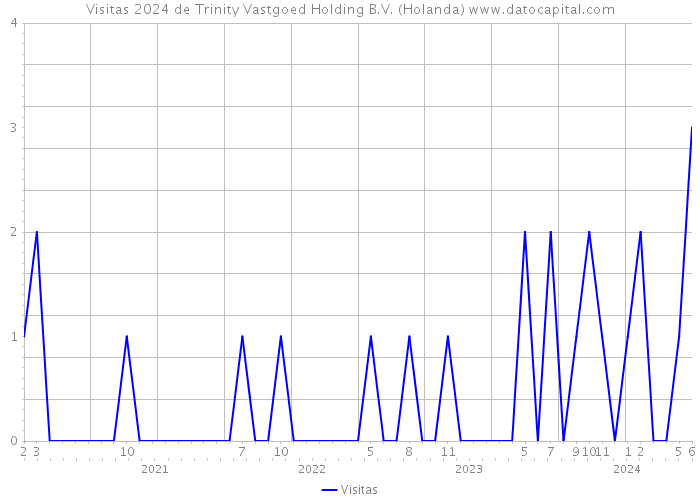 Visitas 2024 de Trinity Vastgoed Holding B.V. (Holanda) 