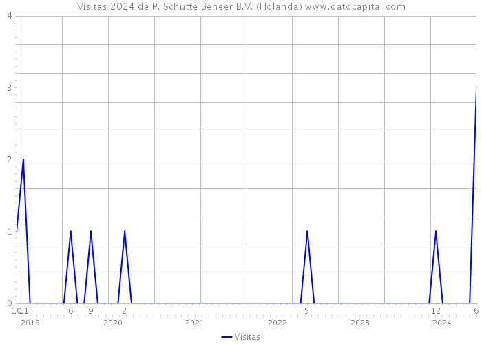 Visitas 2024 de P. Schutte Beheer B.V. (Holanda) 