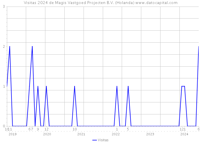 Visitas 2024 de Magis Vastgoed Projecten B.V. (Holanda) 