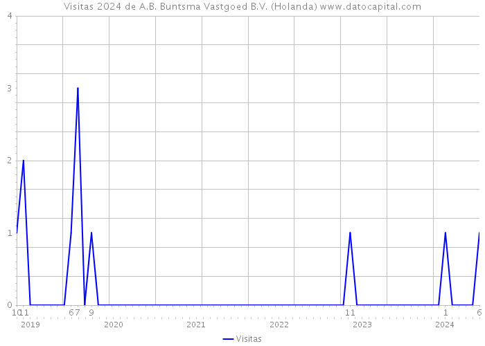 Visitas 2024 de A.B. Buntsma Vastgoed B.V. (Holanda) 