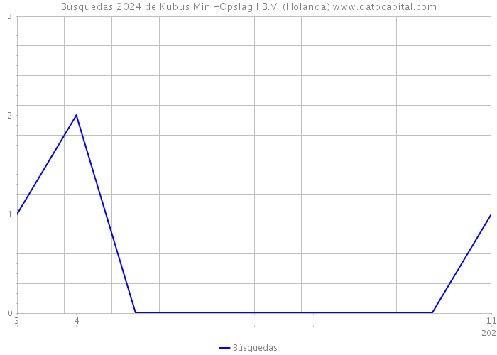 Búsquedas 2024 de Kubus Mini-Opslag I B.V. (Holanda) 