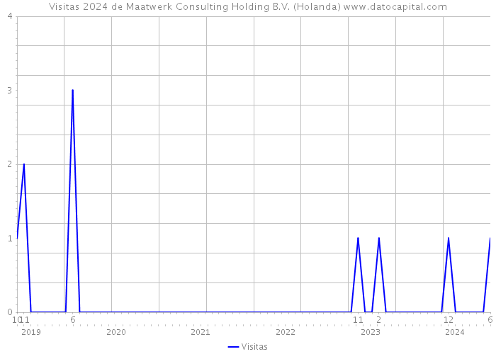 Visitas 2024 de Maatwerk Consulting Holding B.V. (Holanda) 