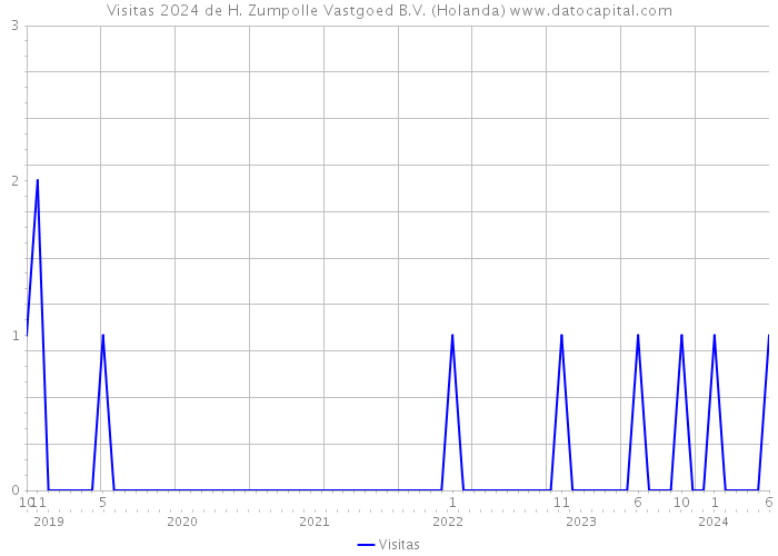 Visitas 2024 de H. Zumpolle Vastgoed B.V. (Holanda) 