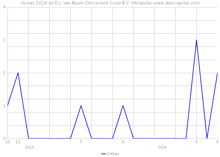 Visitas 2024 de D.J. van Beem Onroerend Goed B.V. (Holanda) 