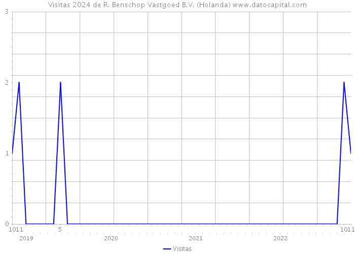 Visitas 2024 de R. Benschop Vastgoed B.V. (Holanda) 