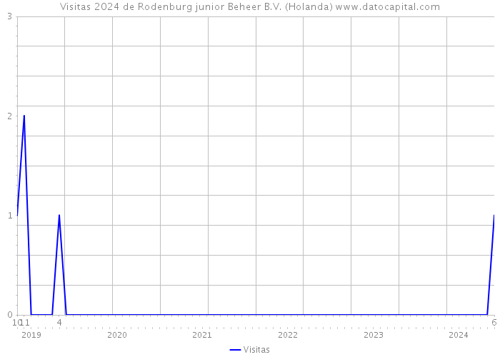 Visitas 2024 de Rodenburg junior Beheer B.V. (Holanda) 