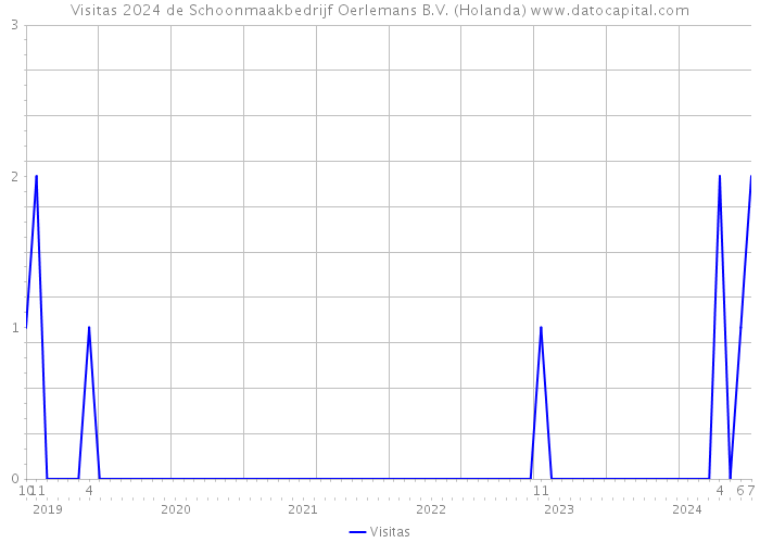 Visitas 2024 de Schoonmaakbedrijf Oerlemans B.V. (Holanda) 