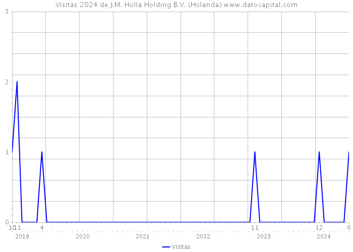 Visitas 2024 de J.M. Holla Holding B.V. (Holanda) 