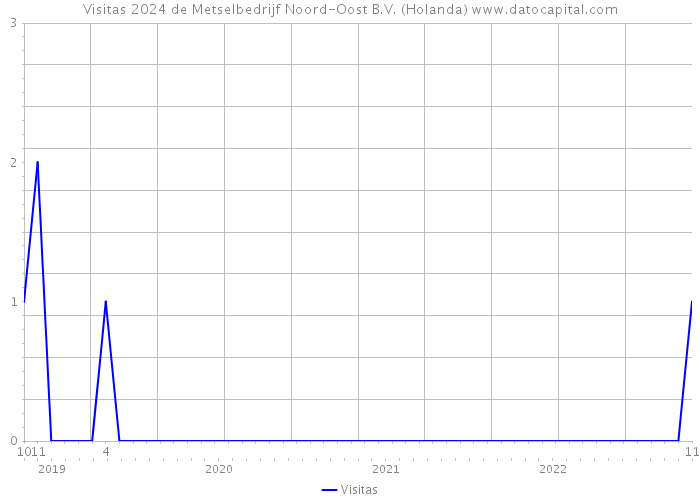 Visitas 2024 de Metselbedrijf Noord-Oost B.V. (Holanda) 