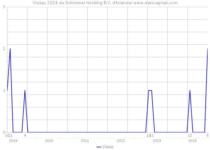 Visitas 2024 de Schimmel Holding B.V. (Holanda) 