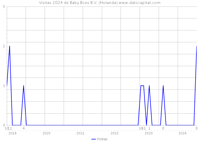 Visitas 2024 de Baby Boes B.V. (Holanda) 