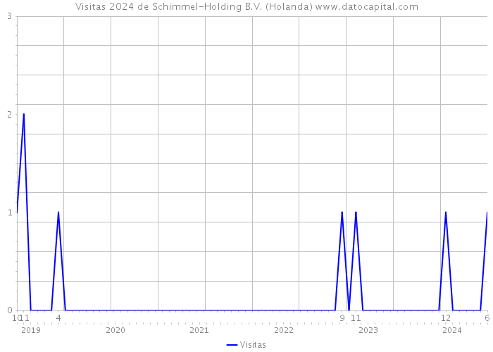 Visitas 2024 de Schimmel-Holding B.V. (Holanda) 