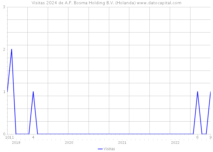 Visitas 2024 de A.F. Bosma Holding B.V. (Holanda) 