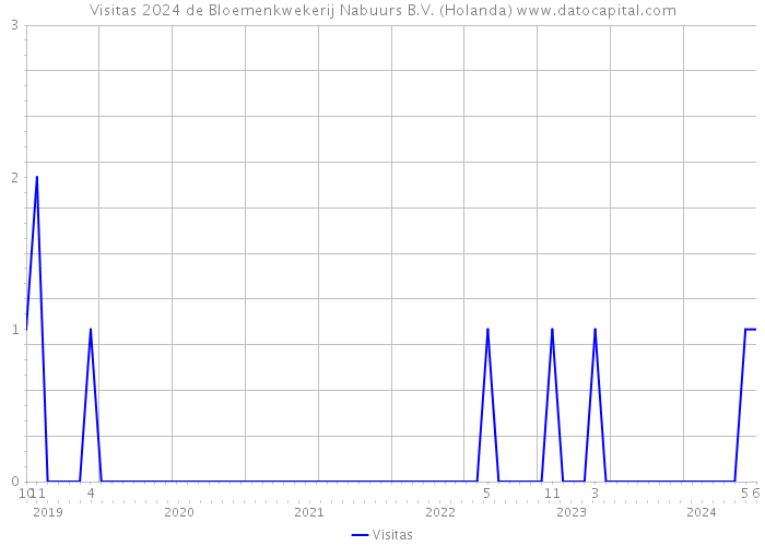 Visitas 2024 de Bloemenkwekerij Nabuurs B.V. (Holanda) 