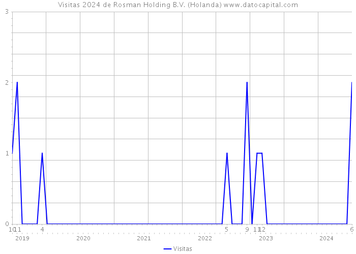 Visitas 2024 de Rosman Holding B.V. (Holanda) 