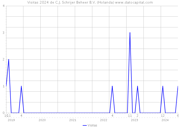 Visitas 2024 de C.J. Schrijer Beheer B.V. (Holanda) 